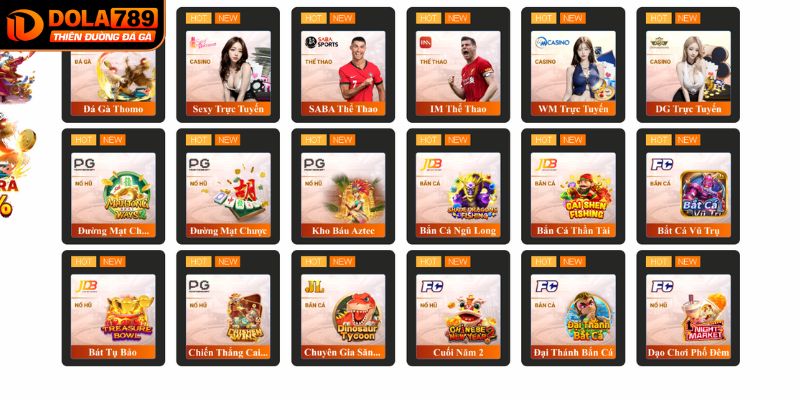 CEO nhà cái chia sẻ kinh nghiệm cá cược