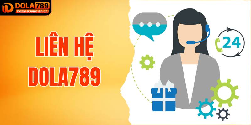 Cách Liên Hệ DOLA789 Dễ Dàng, Hiệu Quả Cho Người Chơi