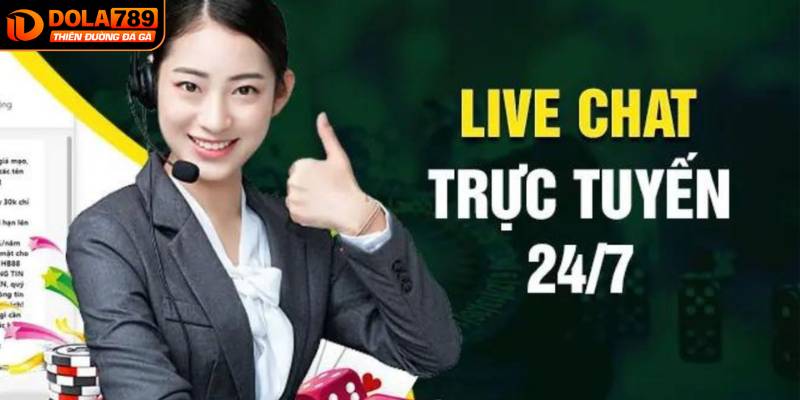 Vì sao người chơi chọn liên hệ DOLA789 khi cần hỗ trợ?